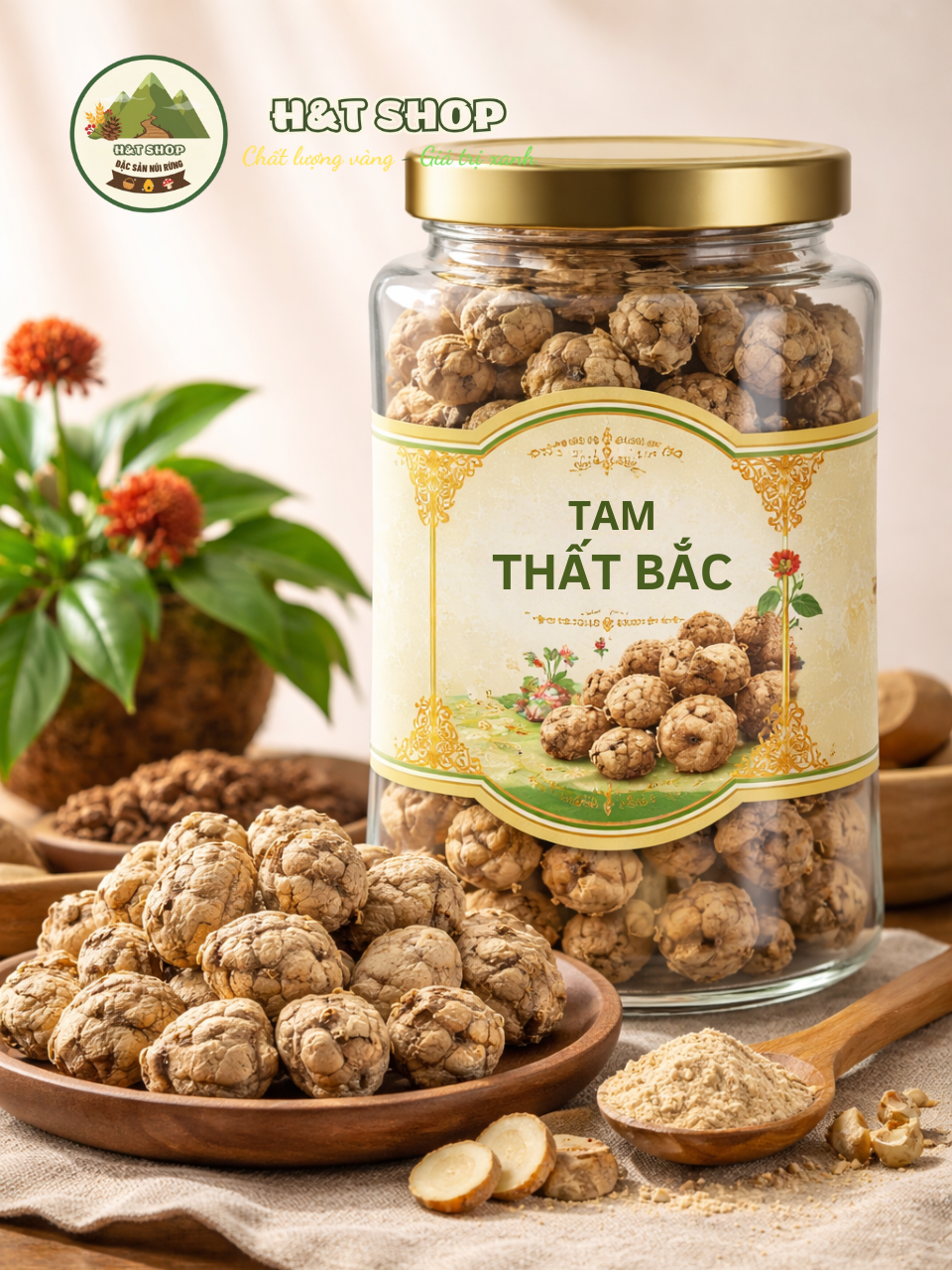 tam thất bắc