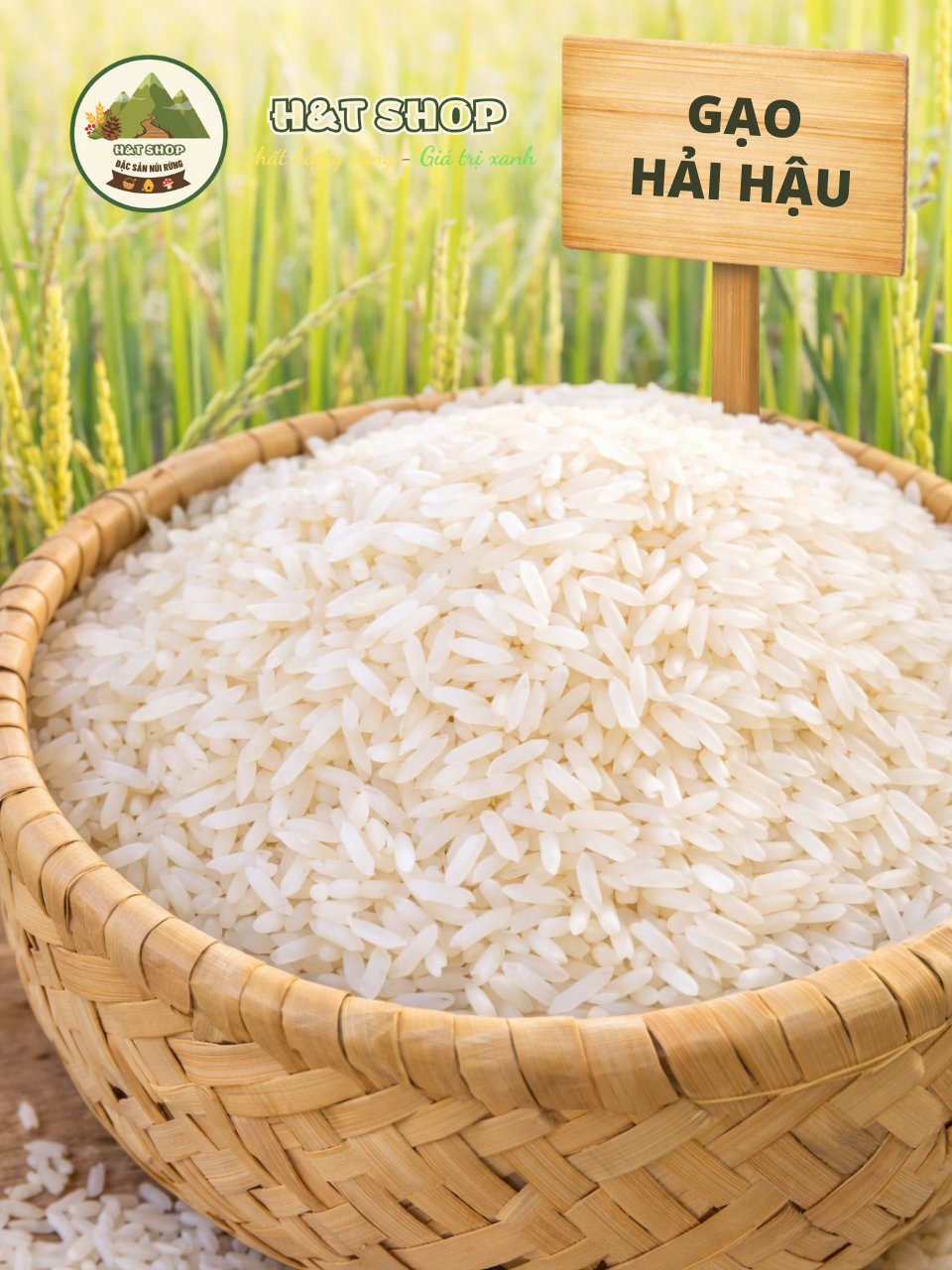 Gạo Hải Hậu thượng hạng