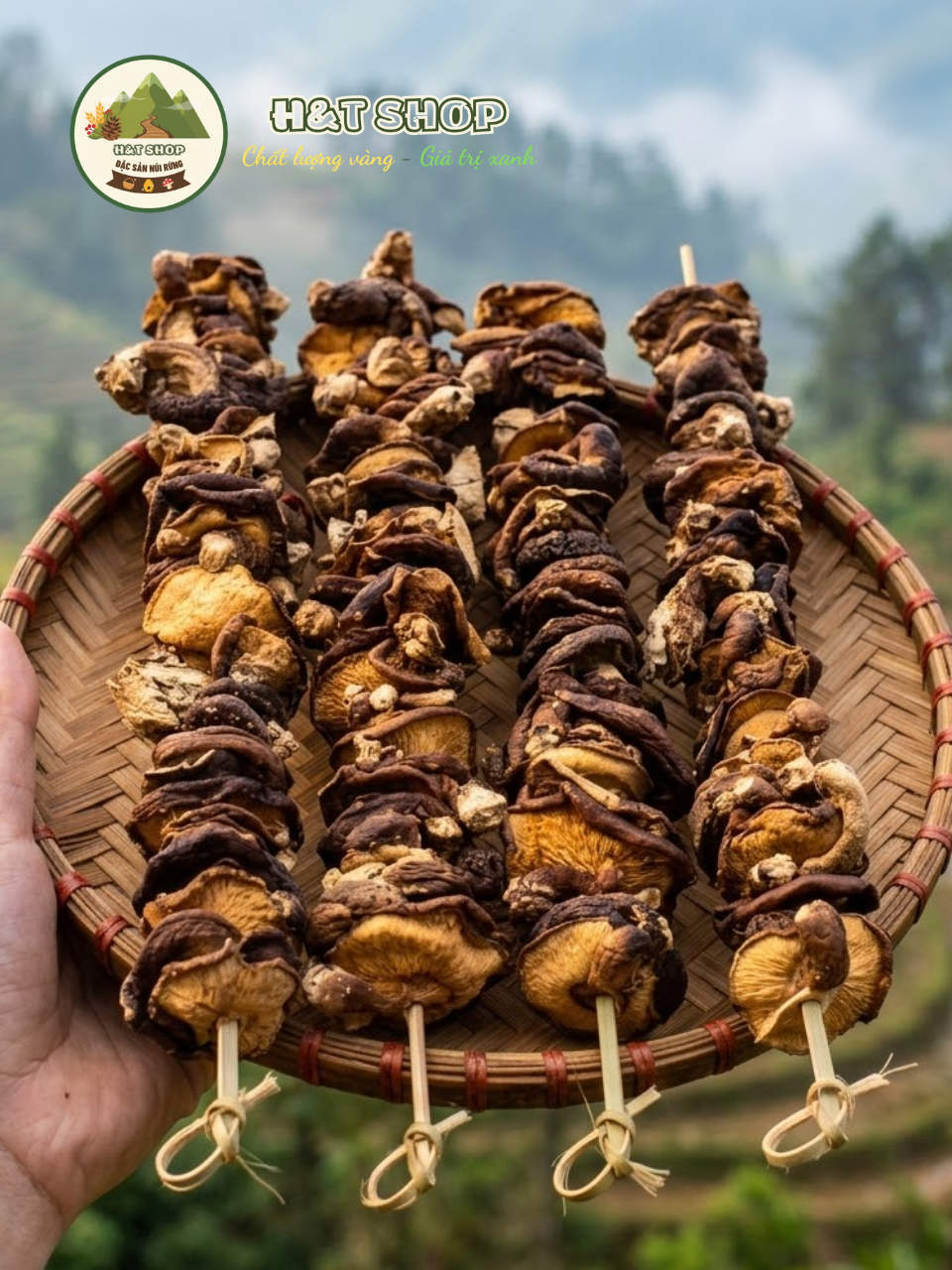 Nấm hương rừng tây bắc