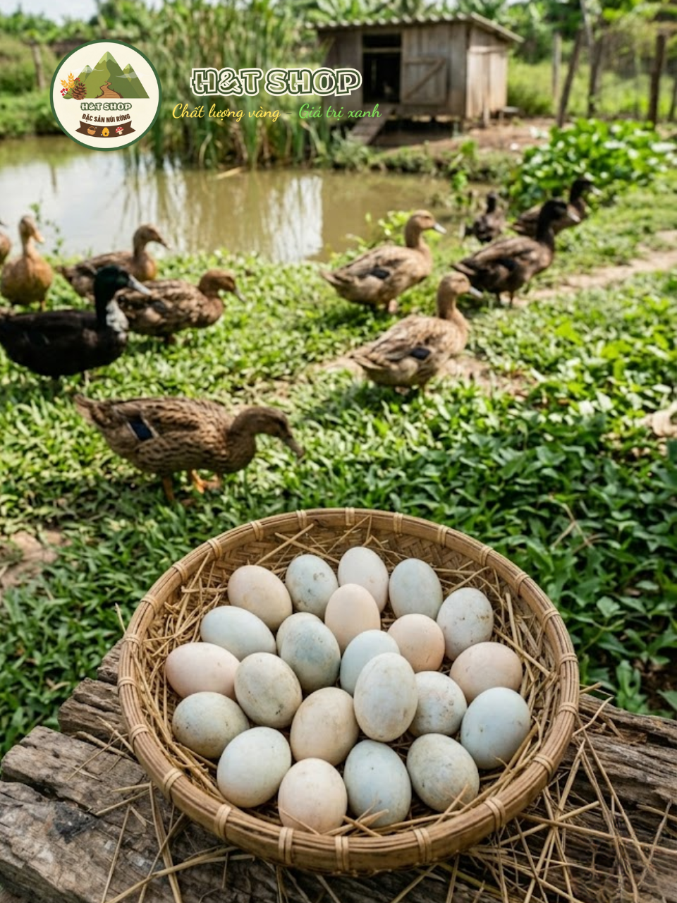 trứng vịt ta